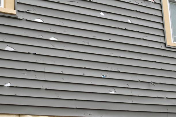 Best Siding Repair  in Buttonwillow, CA